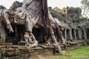 Angkor Wat-106