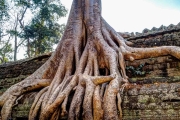 Angkor Wat-66