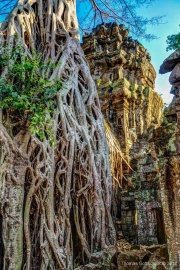 Angkor Wat-69