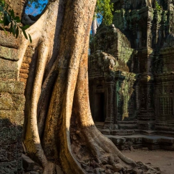 Angkor Wat-64