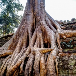 Angkor Wat-66