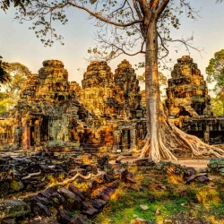 Angkor Wat-77