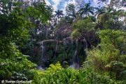 Cuba - El Nicho Waterfall