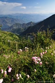 Himachal Pradesh-38