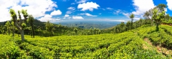 Sri Lanka Panorama-10.jpg