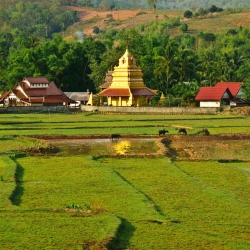 Northern Thailand-31