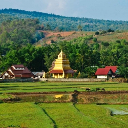 Northern Thailand-32