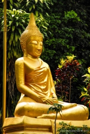 Thai Temple-82